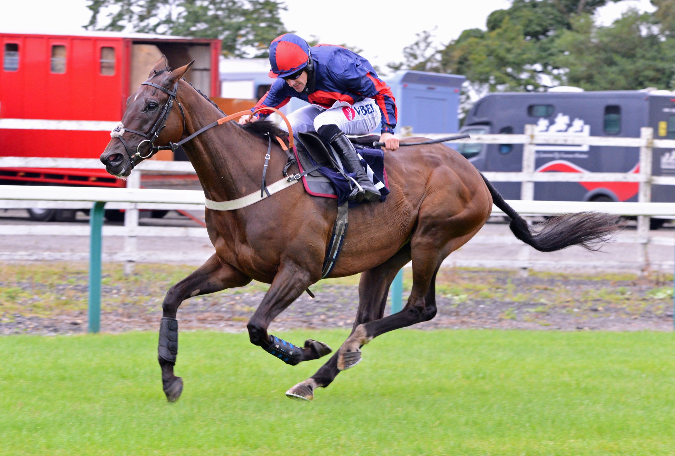 Who wins the Champion Jump Jockey title race? Great British Racing