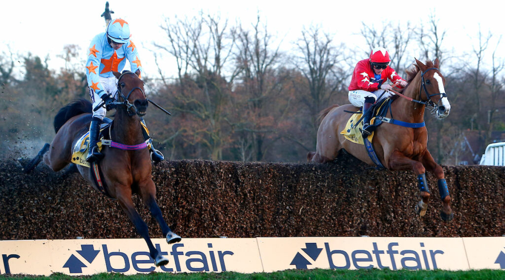 Premier Tingle Creek